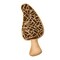 CookieCutter.Com Brand Morel Mushroom Cookie Cutter 4 in B0994, Tin Plate Steel, Handmade in USA